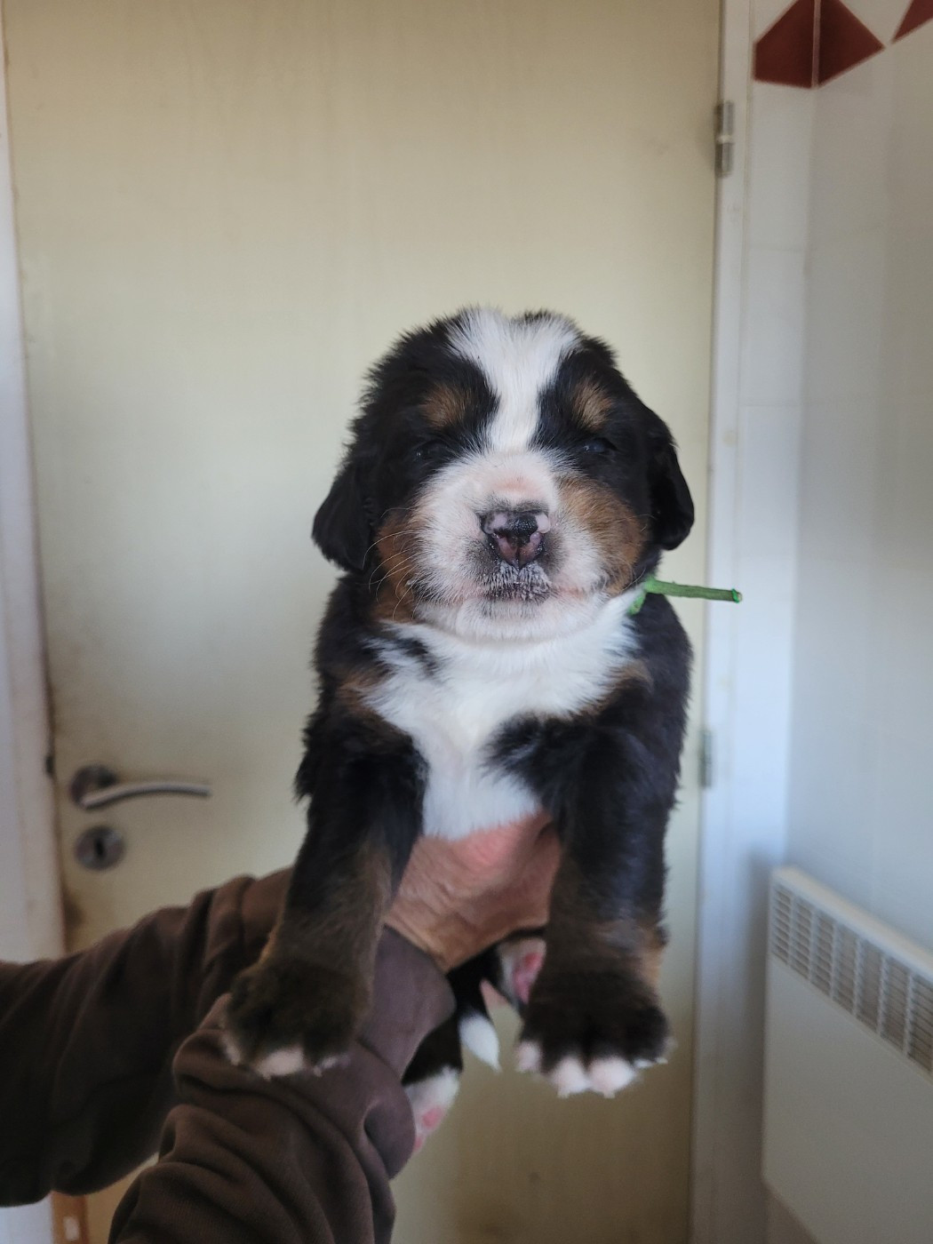 Plus de miss à réserver